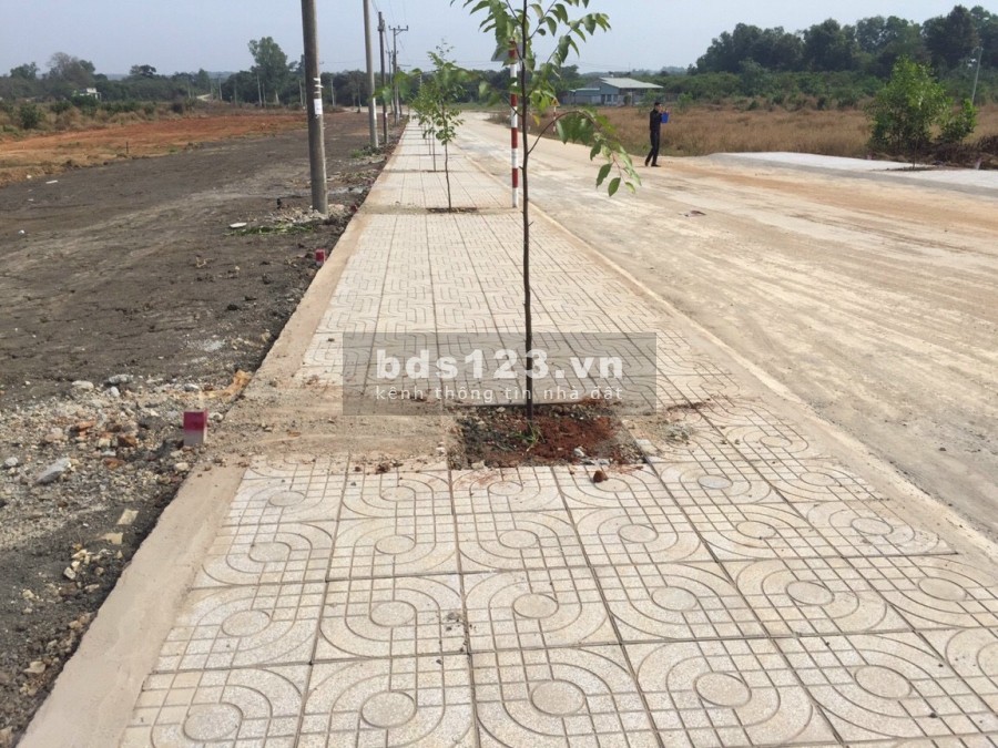 Mặt tiền kinh doanh, đường Hắc Dịch, Phường Hắc Dịch, thị xã Phú Mỹ, Bà Rịa Vũng Tàu.