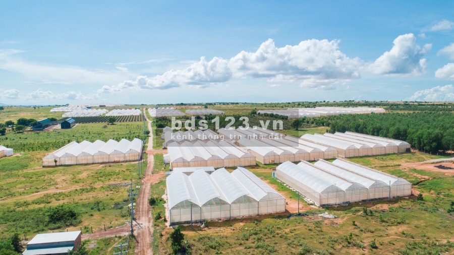 Cần bán đất ở xã Hồng Thái, huyện Bắc Bình, Bình Thuận
