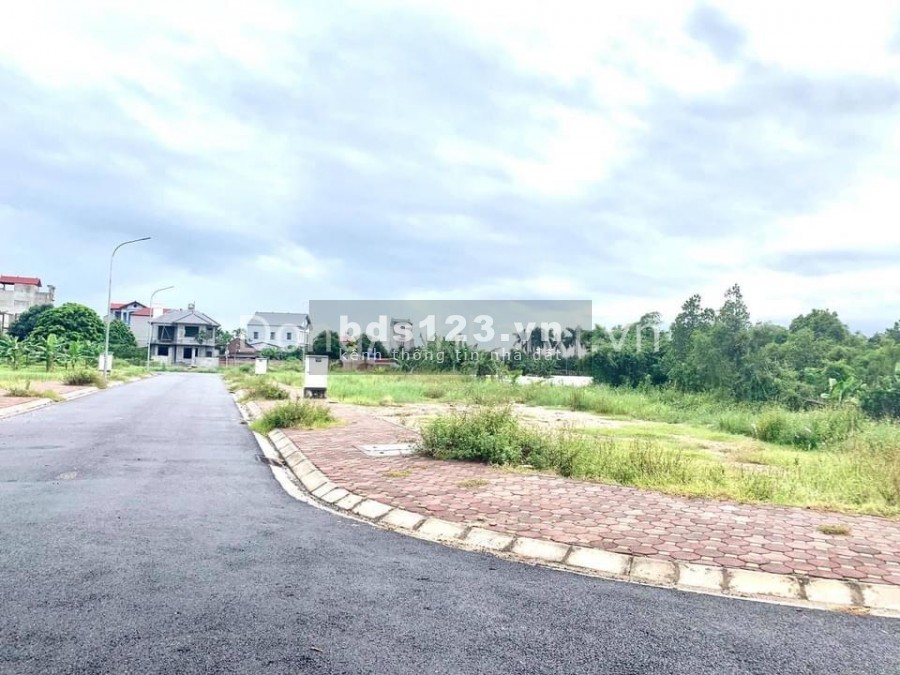 Bán đất đấu giá X4 xóm Đầm, Vân Nội, Đông Anh, Hà Nội