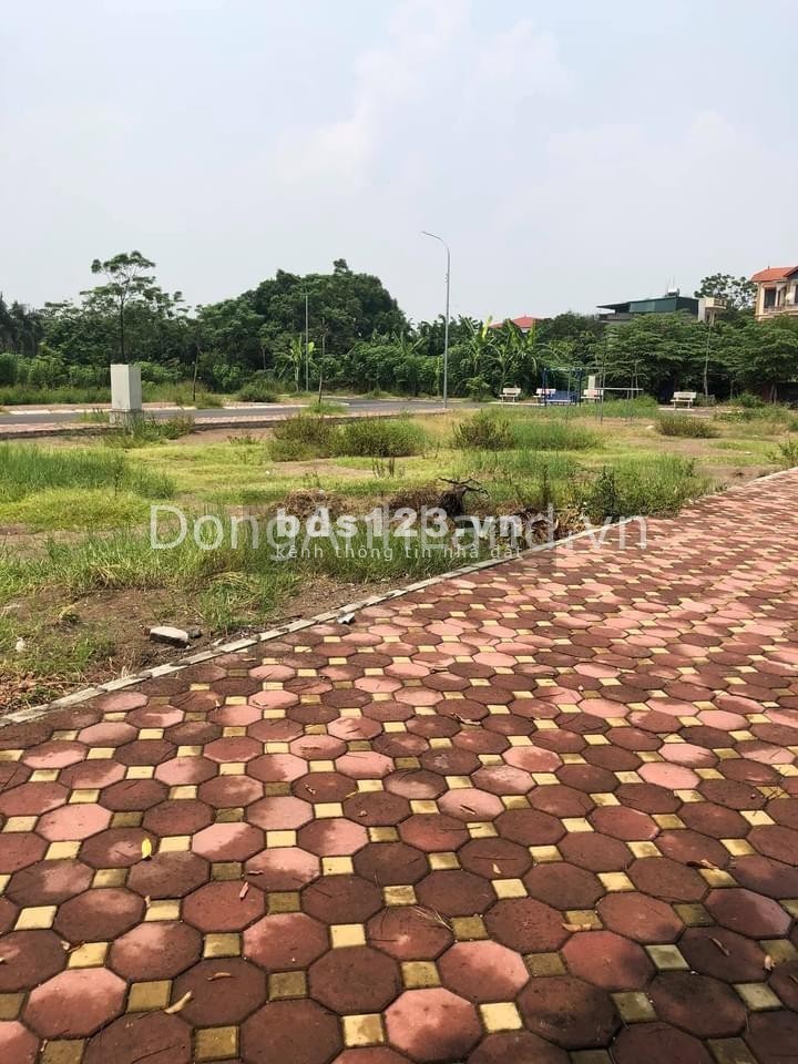 Bán đất đấu giá X4 xóm Đầm, Vân Nội, Đông Anh, Hà Nội