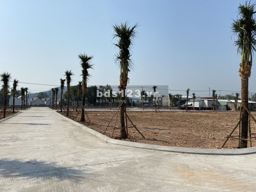 Chuẩn bị nhận giữ chỗ siêu phẩm cực hiếm. có sổ riêng từng nền