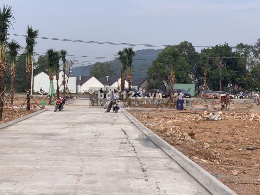Chuẩn bị nhận giữ chỗ siêu phẩm cực hiếm. có sổ riêng từng nền