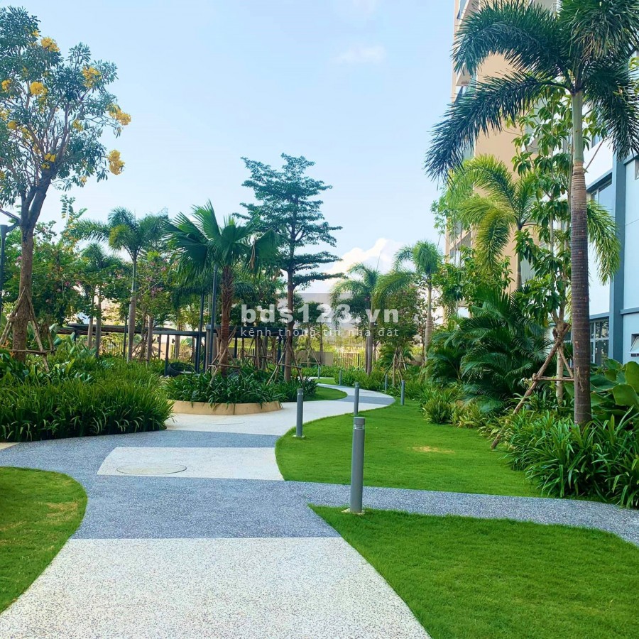 Cho thuê căn hộ NET tại CC Palm Heights vào ở ngay !