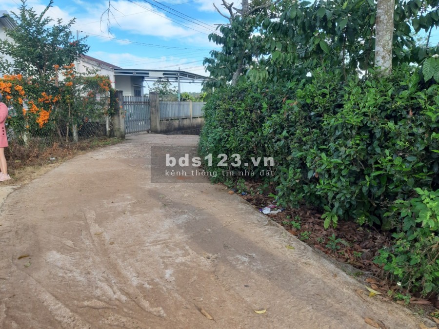 Cần bán đất tại trung tâm thành phố Bảo Lộc