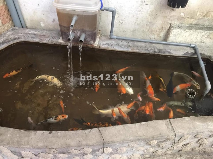 Bán nhà HXH sát Mặt Tiền Phùng Văn Cung P4 Phú Nhuận, 138m2 chỉ 12.8Tỷ