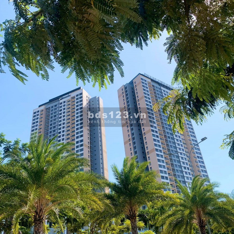 Cho thuê căn hộ NET tại CC Palm Heights vào ở ngay !
