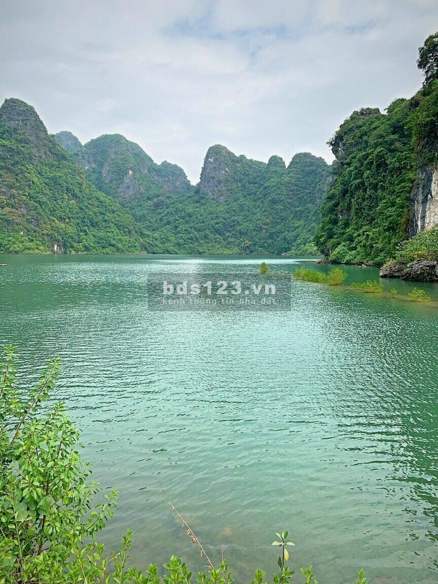 Dự án TTP nằm trên dường bao biển Hạ Long - Cẩm Phả