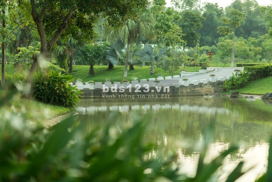 CHÍNH CHỦ BÁN BIỆT THỰ XANH VILLAS 810M2, MẶT SUỐI VIEW CÔNG VIÊN, THIẾT KẾ HIỆN ĐẠI GIÁ SIÊU RẺ
