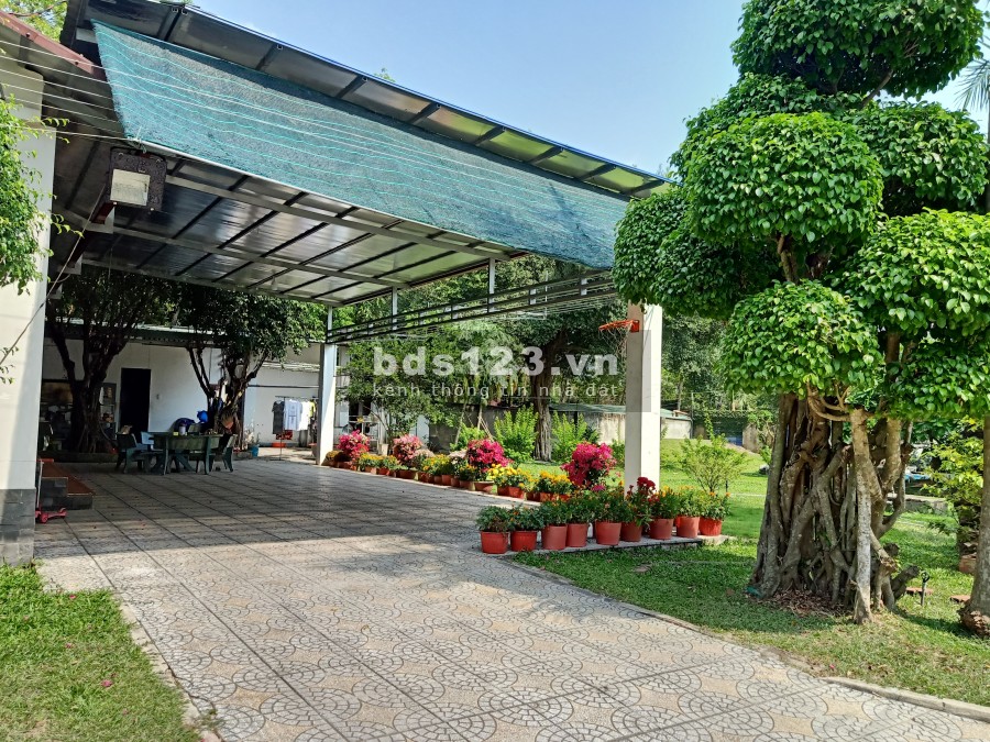 Bán biệt thự vườn và nhà xưởng đường Bến Đình - 4868m2 - 3000m2 thổ cư - xã An Nhơn Tây - Củ Chi