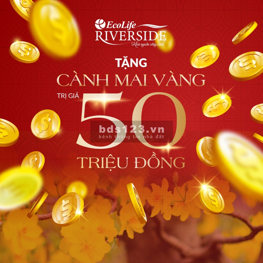 Căn hộ chung cư xanh đầu tiên tại Quy Nhơn sở hữu ngay chỉ với 350 Triệu
