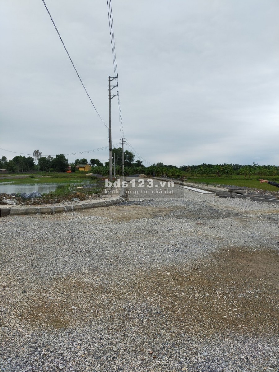 Đất nền yên ninh yên định thanh hóa