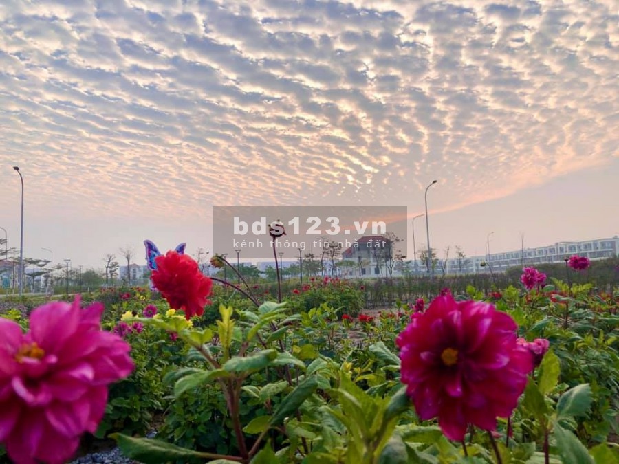 Bán nhanh căn SH duy nhất trục đường 26m, dự án Centa City
