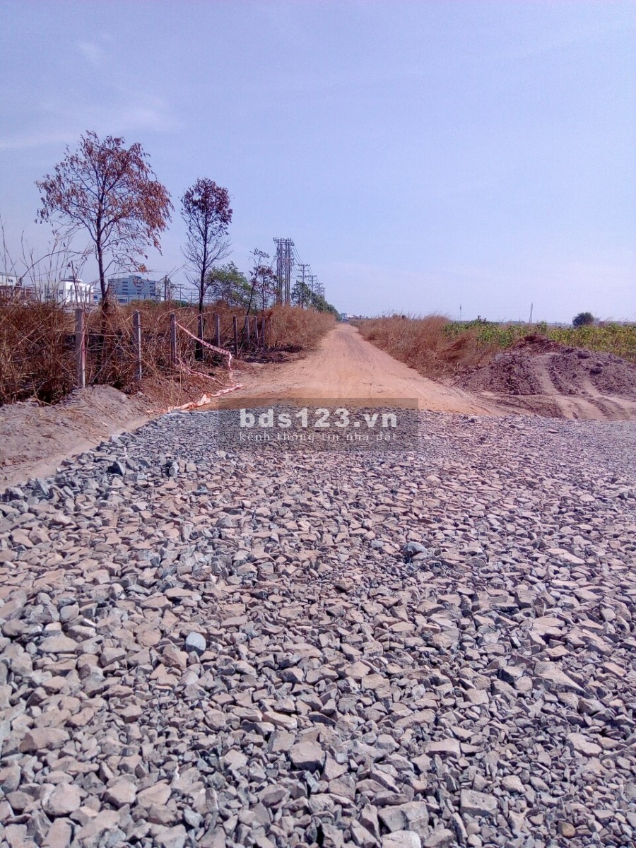 Đất thị trấn nhánh đường mới nguyễn văn linh đối diện 1/500 giá f0