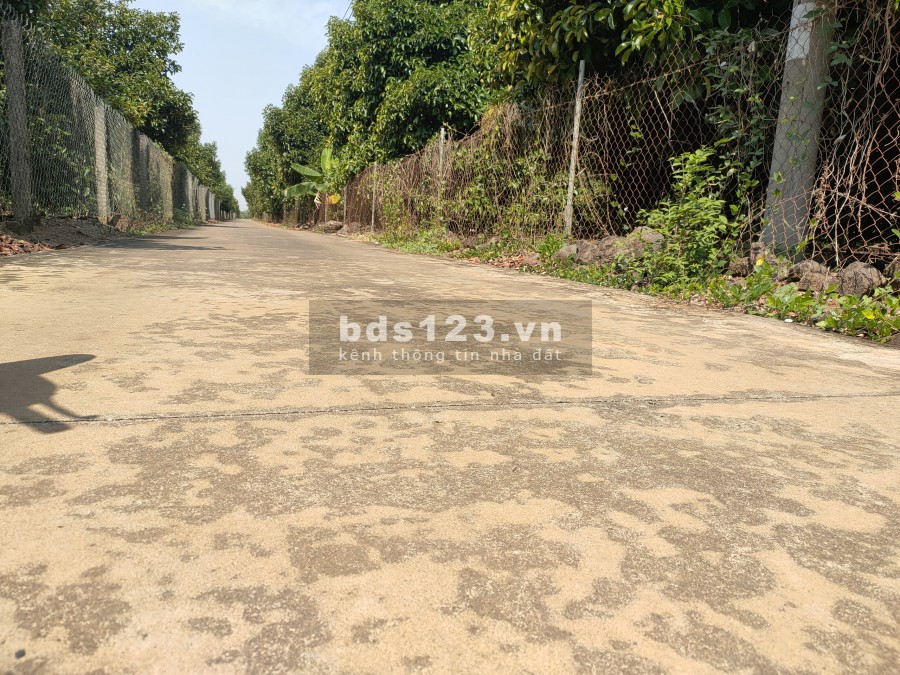 ĐẤT SÀO NGAY TRUNG TÂM HÀNH CHÁNH HUYỆN THỐNG NHẤT 50X40 DIỆN TÍCH ĐẸP XÂY NHÀ VƯỜN VỚI CÂY ĂN TRÁI 10 NĂM