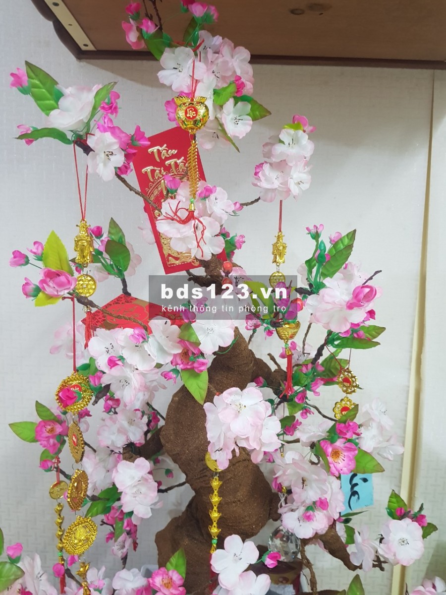 Cho thuê phòng trọ cho sinh viên (Nữ),và người lao động (Nữ), Quận 6 với giá rẻ