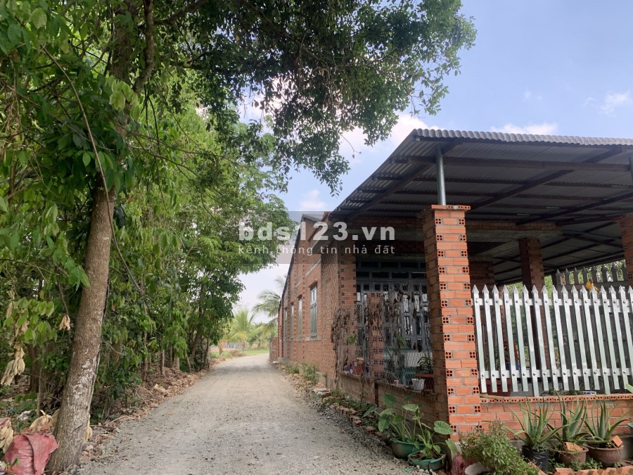 Bán đất nền giá rẻ phù hợp đầu tư tại Gò Dầu, Tây Ninh