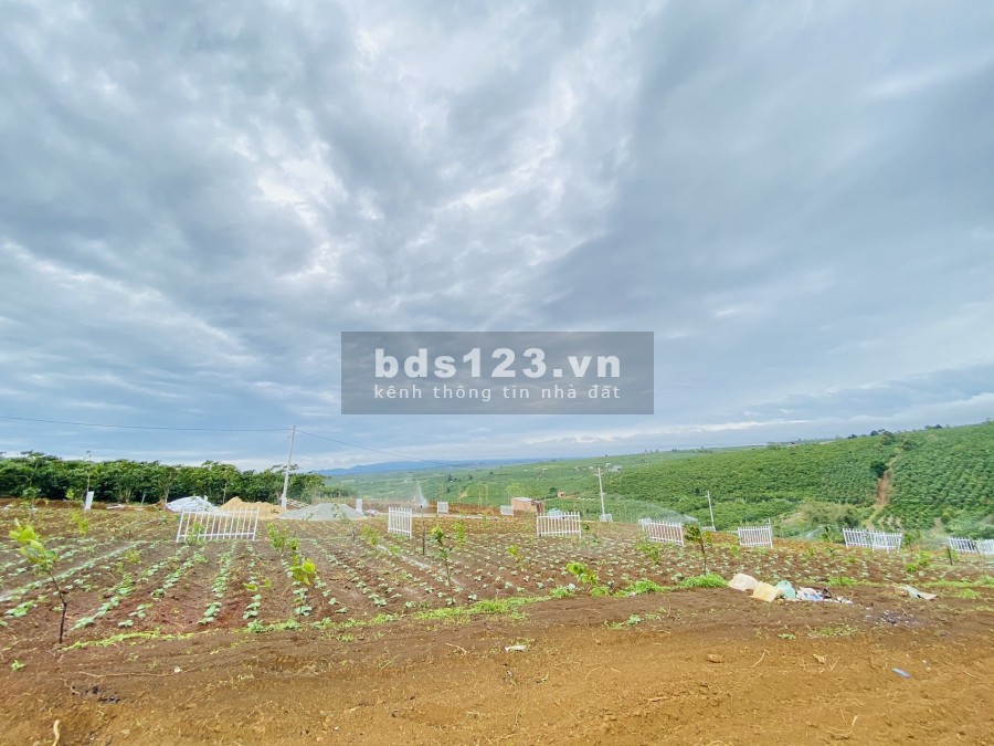 Bán Đất Thổ Cư Bảo Lâm, Bảo Lộc, Sổ Hồng Có Sẵn, Chiết Khấu 3 Chỉ Vàng Cho Khách Thiện Chí, Giá Chỉ 2,5 Triệu/m2
