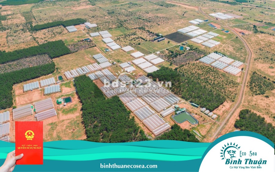 Đất Ngay Thị Trấn Lương Sơn, Bắc Bình, Bình Thuận