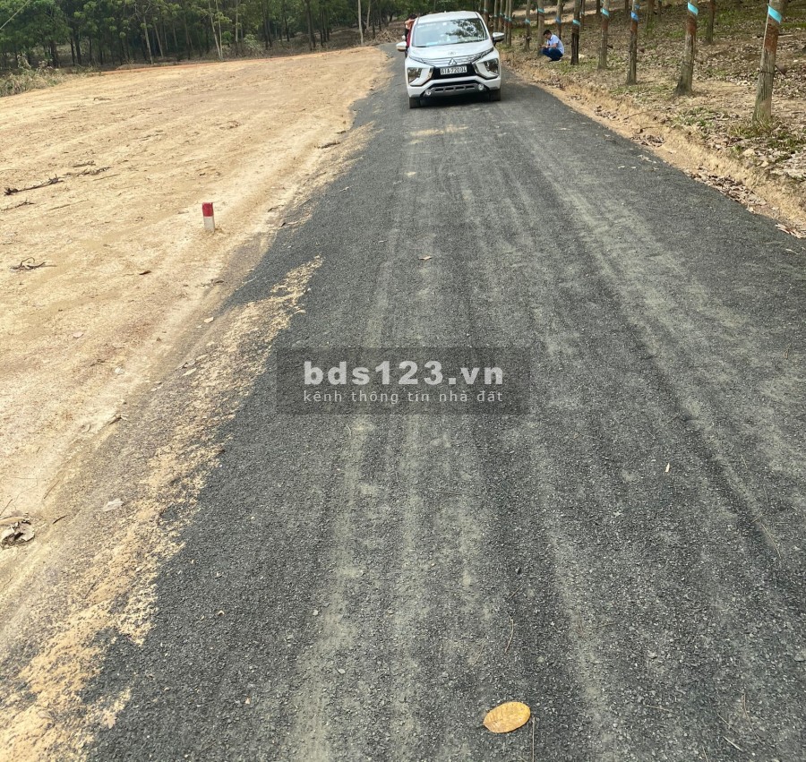 Bán đất Hớn Quản - Bình Phước diện tích 1000m2