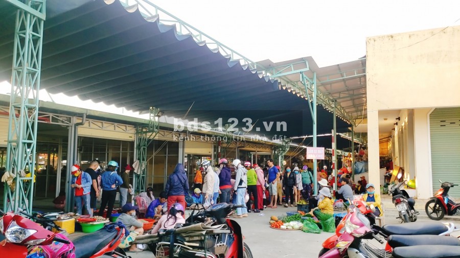 Sang kiot bán Rau sỉ và lẻ chợ đầu mối Điện Ngọc Quảng Nam