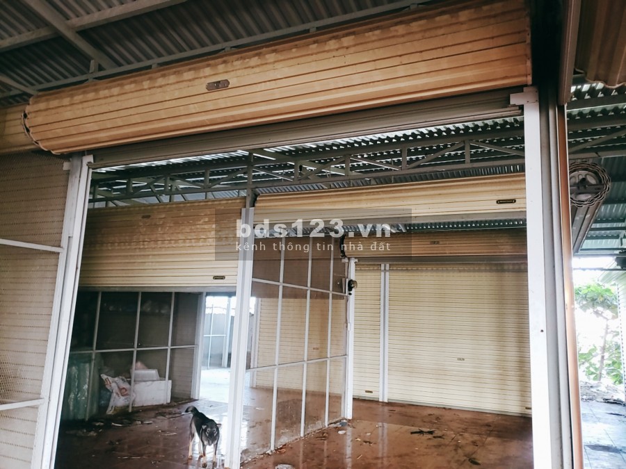 Sang kiot bán Rau sỉ và lẻ chợ đầu mối Điện Ngọc Quảng Nam