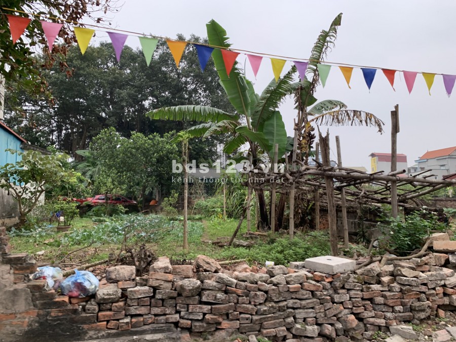 Bán lô đất mặt đường xóm 8 Đông Dư, đường nhựa, ô tô tải tránh nhau.