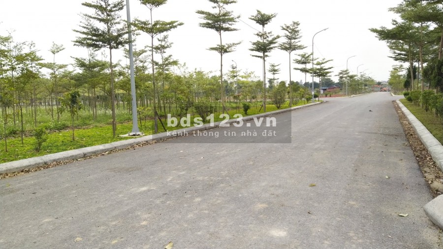Quỹ lô đẹp nhất dự án Từ Sơn Garden City - giá đợt 1 siêu tốt chỉ 22tr/m2, tặng ngay cây vàng trị giá 55tr