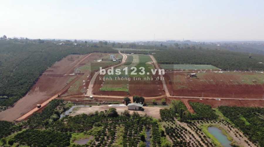 Đất Thổ Cư Bảo Lâm Bảo Lộc Giá Chỉ Từ 2,5 Triệu/m2 Sổ Hồng Có Sẵn Từng Nền, Tặng 3 Chỉ Vàng Đến Hết Ngày 15/3 Và 1 Năm Rau Sạch