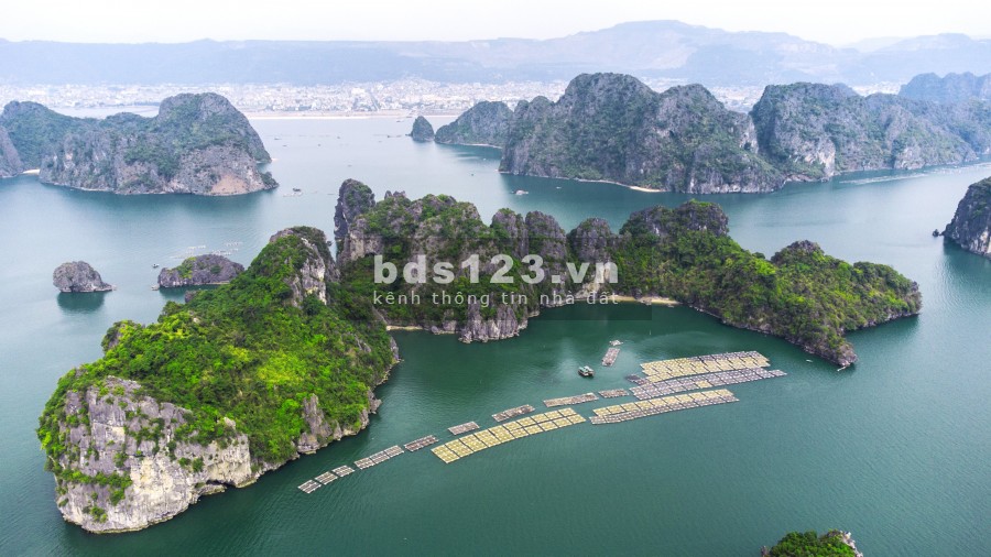 Bán đất nền ven biển view vịnh Bái Tử Long đầu năm nhận lì xì cực KHỦNG lên đến 300 triệu