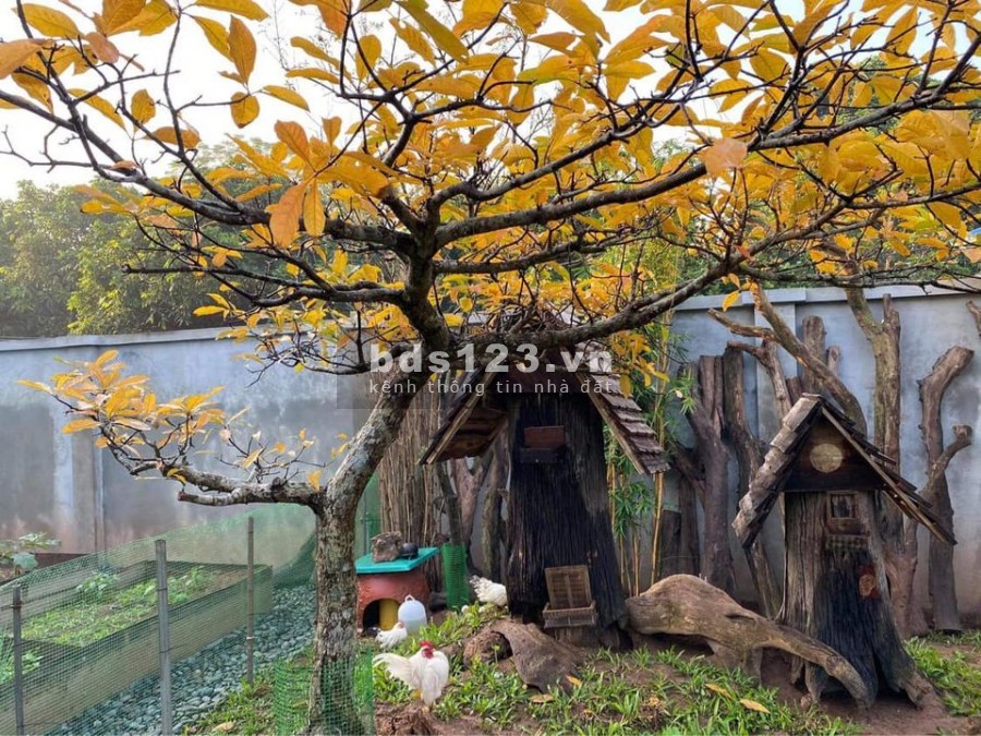 Chính chủ bán nhà Trần Quang Diệu, Đống Đa. Vỉa hè, ô tô, KD. 690m2 60 tỷ