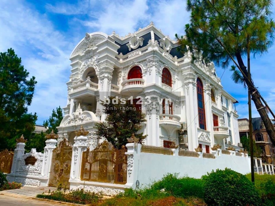 Chính chủ bán nhà Trần Quang Diệu, Đống Đa. Vỉa hè, ô tô, KD. 690m2 60 tỷ