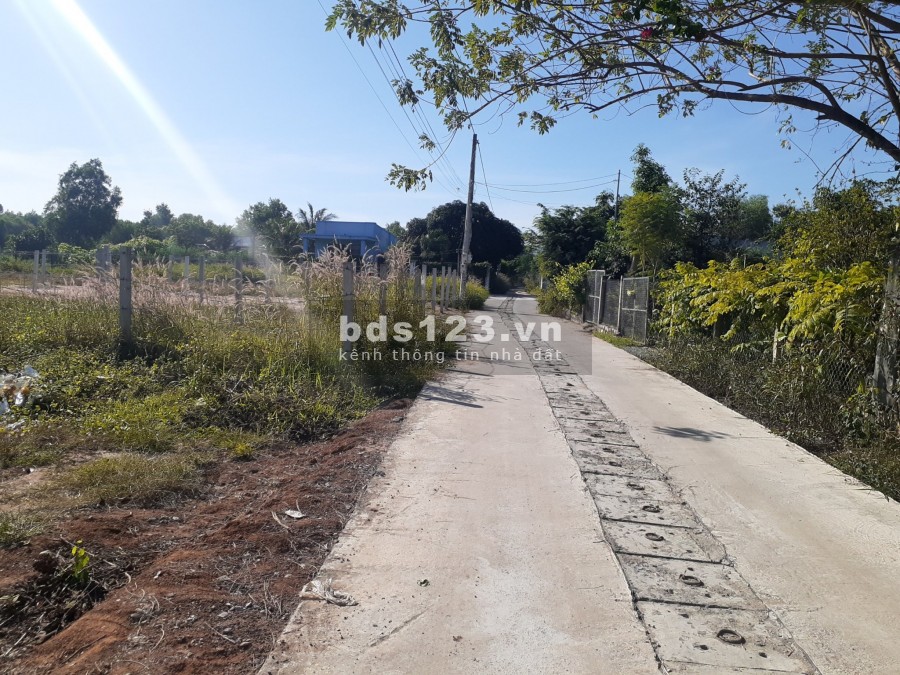 Bán gấp lô đất nền khu dân cư đông, cách Tỉnh Lộ 44B 400m, Tam Phước, Long Điền, BRVT
