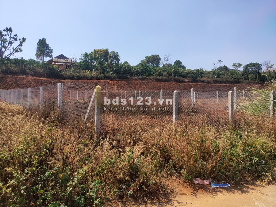 Chính chủ bán 450m2 Đất Đông Thanh, Lâm Hà, Lâm Đồng giá đầu tư