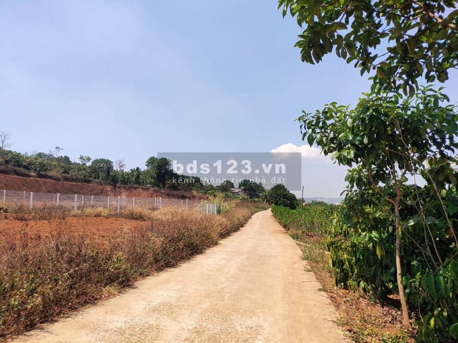 Chính chủ bán 450m2 Đất Đông Thanh, Lâm Hà, Lâm Đồng giá đầu tư