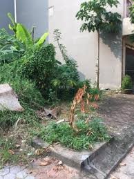 Cực Hiếm Đất Phân Lô Quận Hà Đông, Vỉa Hè Phân Lô Ô Tô Đỗ 50m m2 MT 4.5m Giá Chỉ 4,7 Tỷ