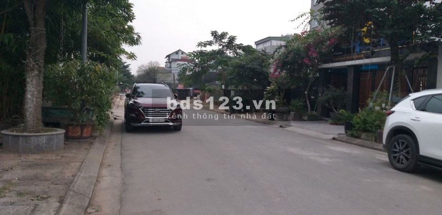 Bán đất biệt thự 31ha Trâu Quỳ, Gia Lâm. DT 259m, MT 13m, hướng Đông Bắc đường 15m