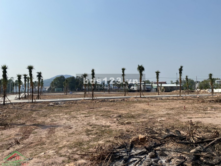 Vị trí đầu tư không thể bỏ lỡ năm 2021, trên tuyến tránh dương đông