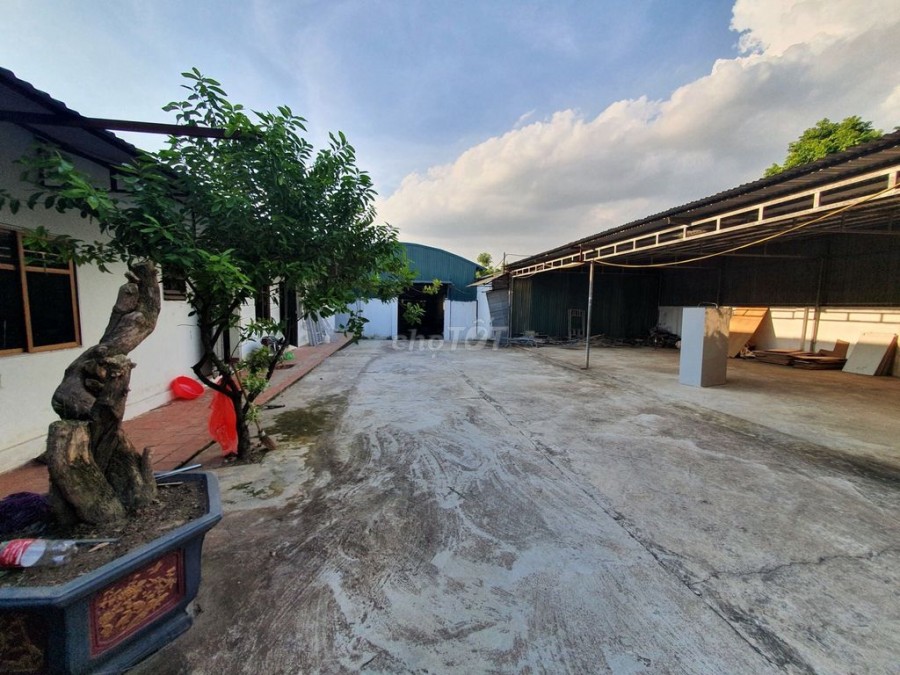 Chính chủ cho thuê gấp khu nhà xưởng diện tích 1,500m2 tại Đông La, Yên Nghĩa