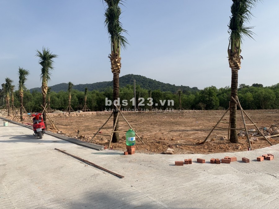 Đầu năm bùng nổ cùng dự án siêu đẹp MT đường Tuyến Tránh giá đầu tư F0 SHR