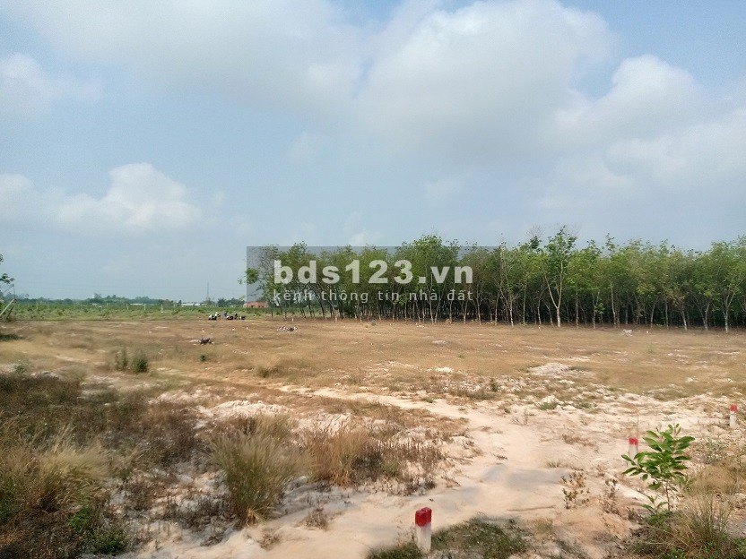 Do kẹt tiền nên tui cần bán miếng đất ở nhà có chiều ngang 6m!
