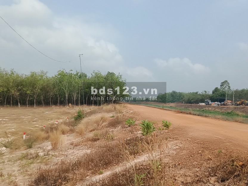 Do kẹt tiền nên tui cần bán miếng đất ở nhà có chiều ngang 6m!