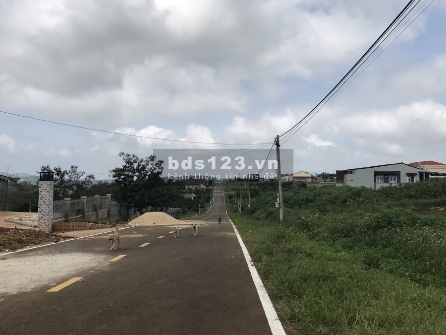 Bán đất full thổ cư 140m2 khu 2/9 sát hồ tây di linh