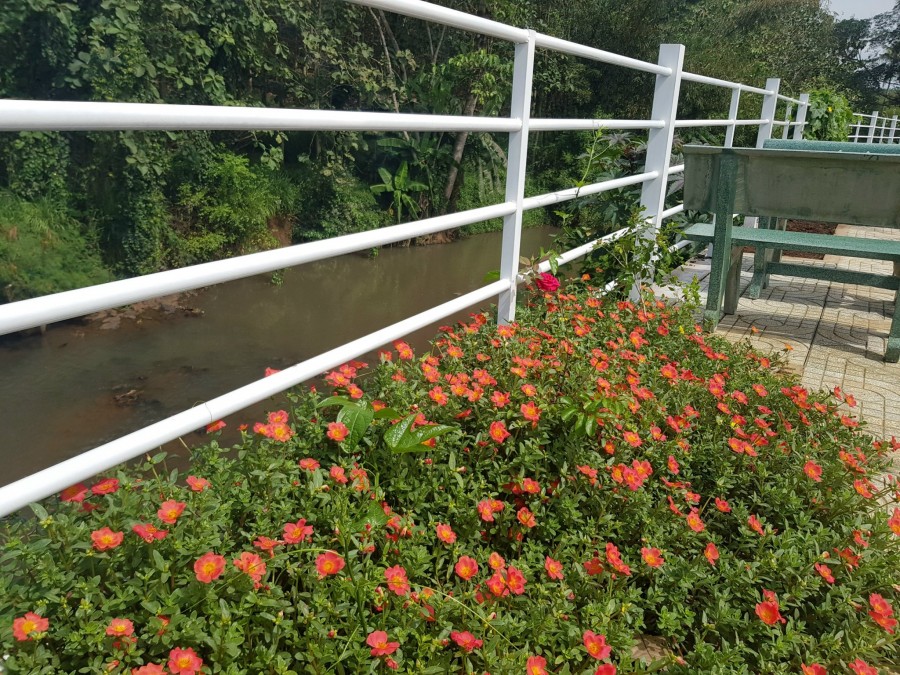 Lô Đất Gần Sân Bay Long Thành, DT 120M