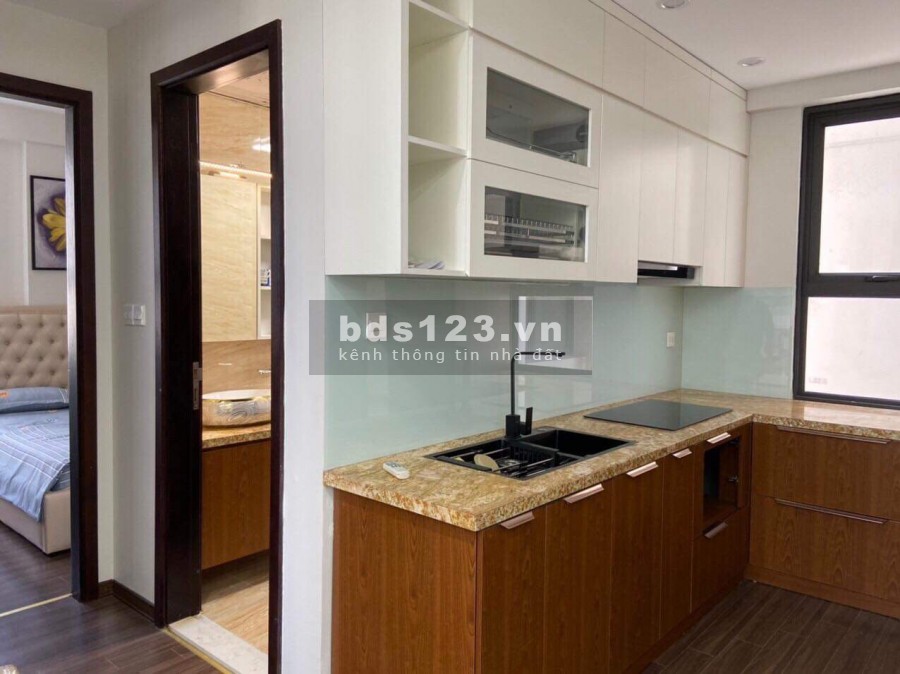 Độc quyền căn hộ 2PN đầy đủ nội thất giá 12tr5/tháng Vinhomes D'capitale