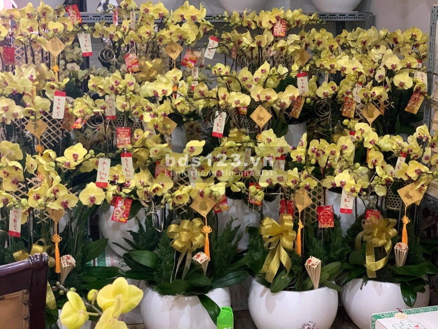 GIẢM 300 !!! Bán Nhà Đường Hồng Lạc Quận Tân Bình – 65m2 – Giá Rẻ