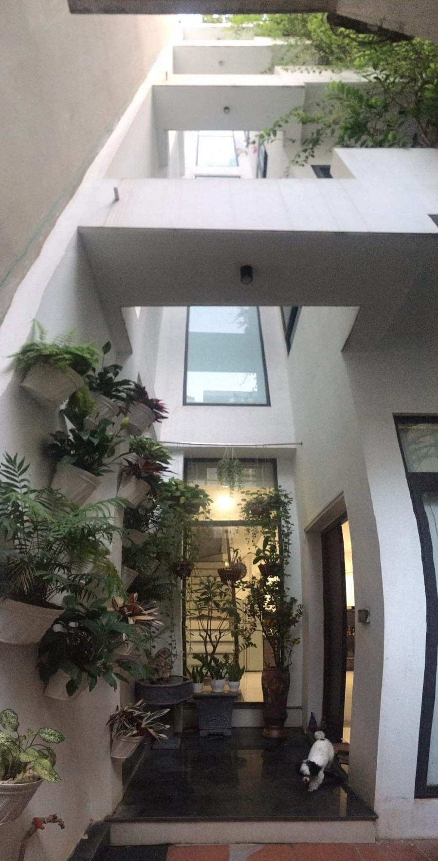 Biệt Thự Cù Chính Lan 115m2 - Phân Lô - Oto Vào Nhà - MT 5.6m - KD - Dân Chí Cao