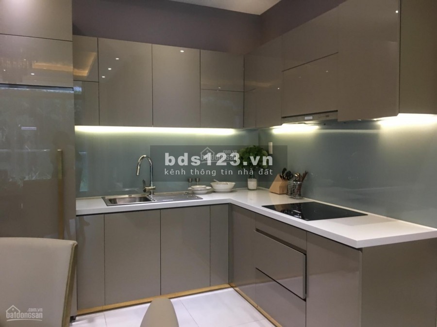 Căn hộ Jamona Heights dtsd 50m2, 1 PN, tầng cao, view không bị che chắn, giá 8 triệu/tháng
