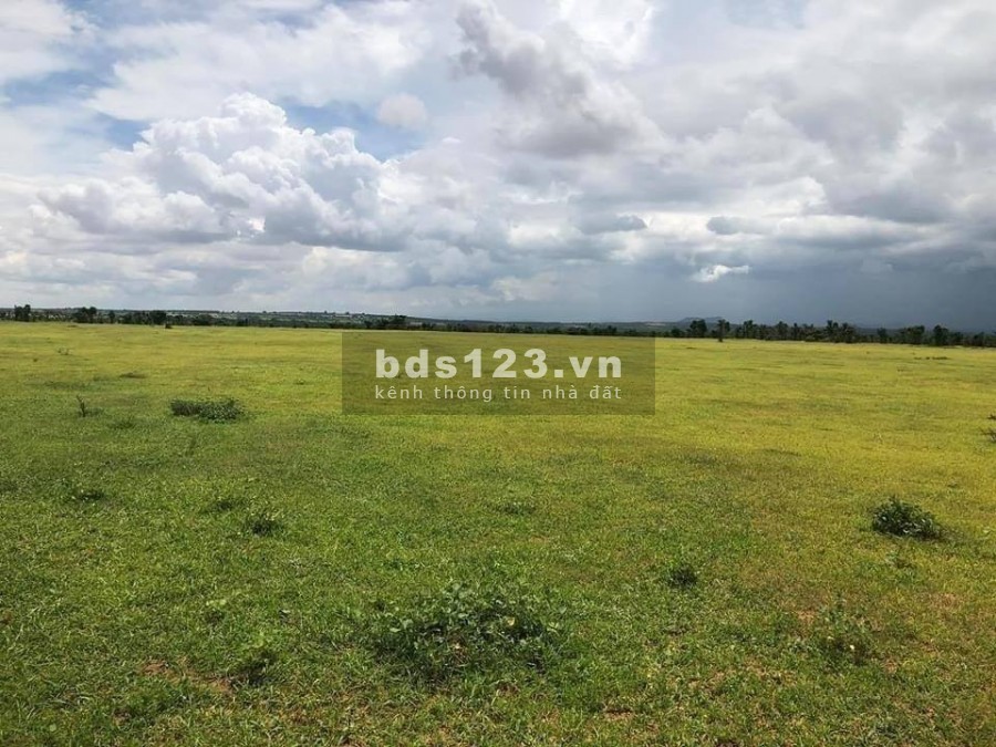 Đất Gần Đường DT716 Hòa Thắng, Bắc Bình, Bình Thuận