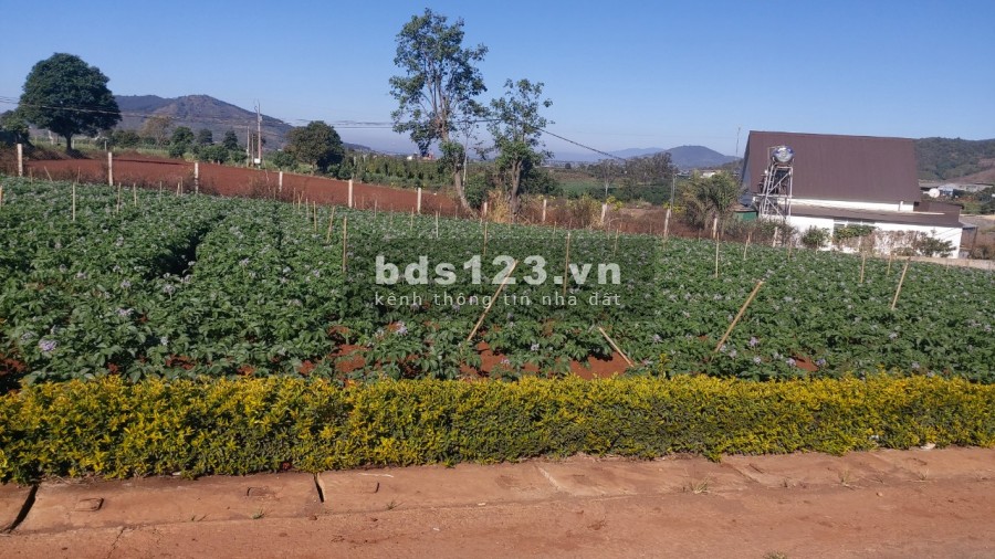 BÁN ĐẤT BỒNG LAI 260 M2 VIEW BIỆT THỰ NGHỈ DƯỠNG