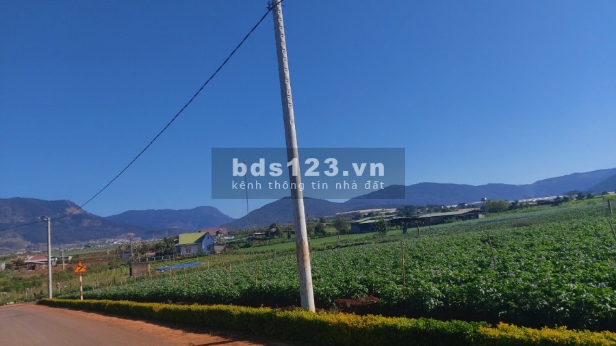 BÁN ĐẤT BỒNG LAI 260 M2 VIEW BIỆT THỰ NGHỈ DƯỠNG